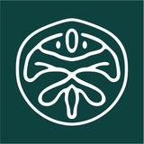 Нейроплод - nplod.ru