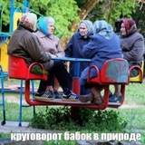 Обмен Валют Мелитополь Круговорот Бабок Млт
