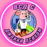ВСД: Правда о загадочной болезни (ВСД, Невроз, КПТ/интегративная терапия, ПА, ГТР, соматоформные расстройства)