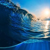🌊 Океан Событий и интересных людей Москва 🌊