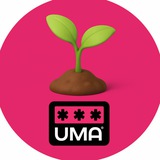 Дача, сад, огород, цветоводство, саженцы. Чат