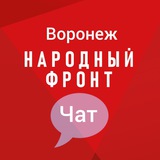 Народный фронт 36 Chat