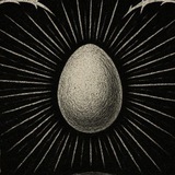 Первый Иллюз🥚рный