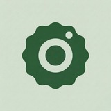 OriginOS Utilities