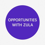 Opportunities with Zula