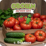 🍅🥒🔥Рынок "РегионОПТ" 🍅🥒🔥 Каменка, Знаменка, Водяное, Благовещенка!☝️