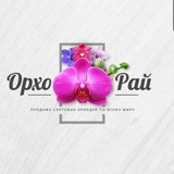 ОрхоРай