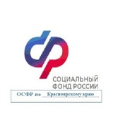 Красноярск СФР_ страхователи