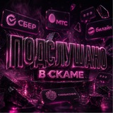 Подслушано в скаме