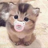 пиар чатик💗