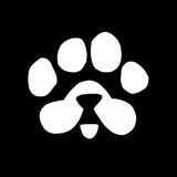 PAWS ЧАТ