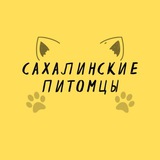 Сахалинские питомцы