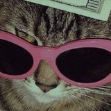 Вз Чат