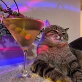 Взаимные подписки 💜 реакции