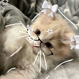 Пиар чатᶠᵃᶜᵉ