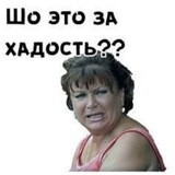 Пиар чат 🦋