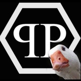 Pilip_plein