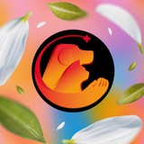 Питомцы Жулебино