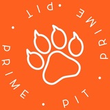 PIT PRIME 🐾