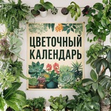 Цветочный календарь Москва и Петербург