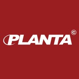 PLANTAROSA.PNG