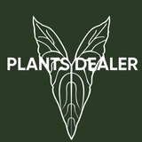plants dealer | продажа растений