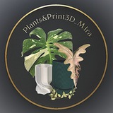 Plants&Print3D_M.Ira