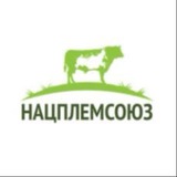 НАЦПЛЕМ СОЮЗ