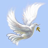 Подари Надежду