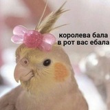 Поднялась на Таро