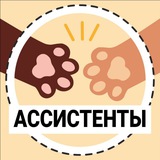 АССИСТЕНТЫ | Поиск Ассистента | ASSISTENT CHAT | Вакансии Ассистентов