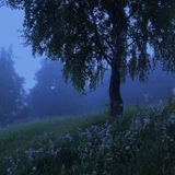 Песни | Треки | Музыку