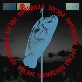 полярная звезда