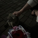 тихое сердце