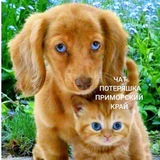 ЧАТ "Потеряшка" Приморский_Край