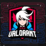 PRO VALORANT