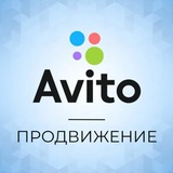 Авитолог | Обучение