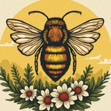 PRO пчёл 🐝