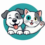ПРОДАЖА ЩЕНКОВ 🐾 КОТЯТ