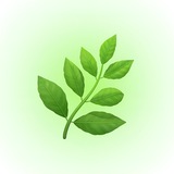 🌿Канал про здоровье