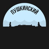 Пушкинский район