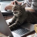 Работа чат