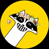 Raccoon_mem