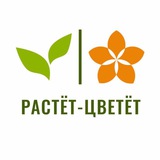 Растёт-Цветёт | Доставка цветов | Рязань | Тула