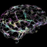 Лучшие Нейросети 🧠