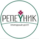 Природный Центр РЕПЕЙНИК
