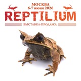 Рептилиум Reptilium | змеи | ящерицы | лягушки | рыбки