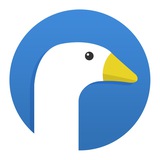RIZVIDEO