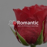 ЦВЕТЫ | ОПТ | РОМАНТИК