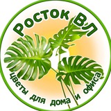 РостокВл 🪴 Rostok_Vl Владивосток